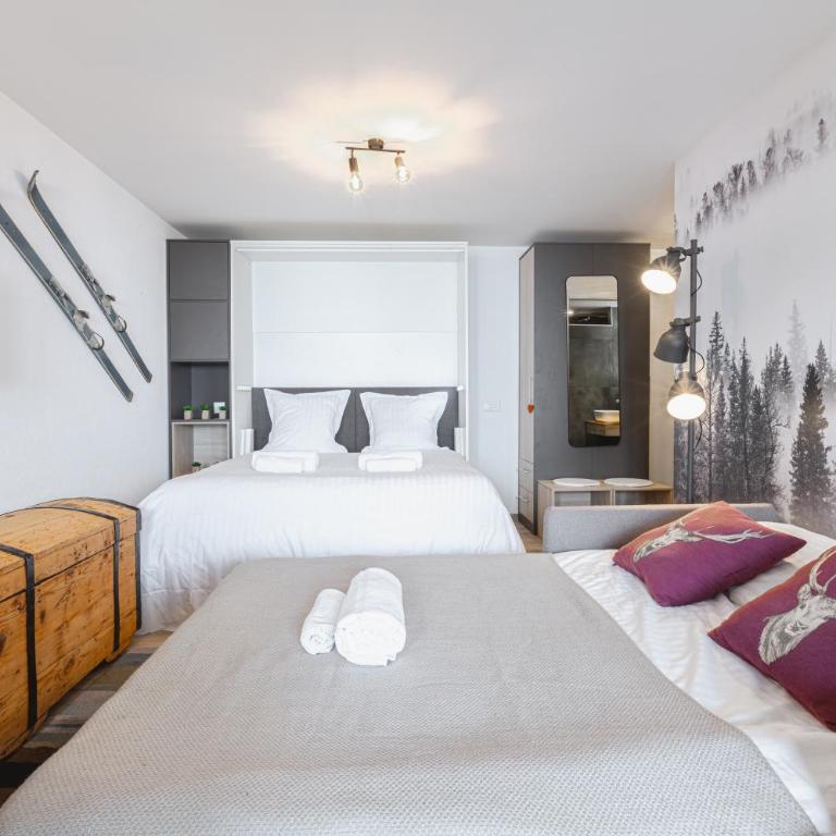 Studio rénové avec vue imprenable sur les Alpes - Studio - 19