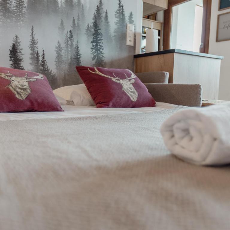 Studio rénové avec vue imprenable sur les Alpes - Studio - 22