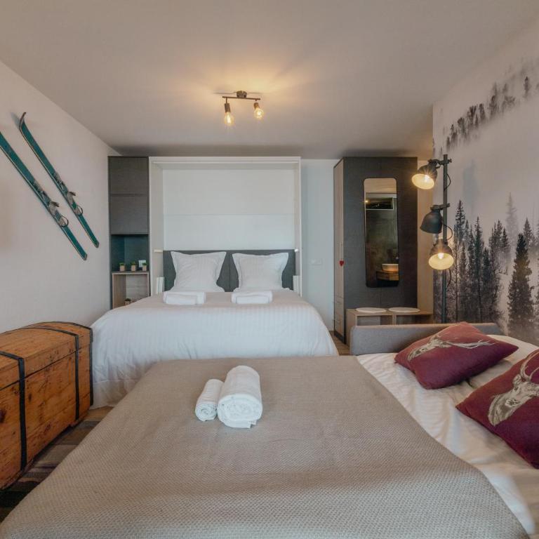 Studio rénové avec vue imprenable sur les Alpes - Studio - 23