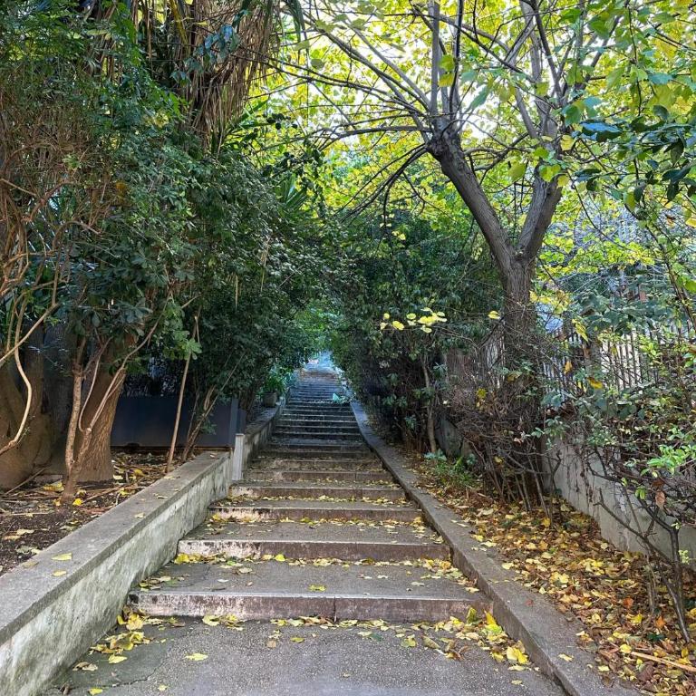 The Vatican Jungle loft con giardino vicino al Vaticano - Three-Bedroom Apartment - 20