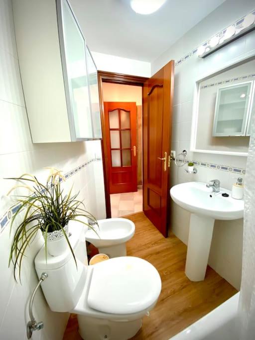 MyChoice Pitiusa - Apartamento de 2 dormitorios - 33
