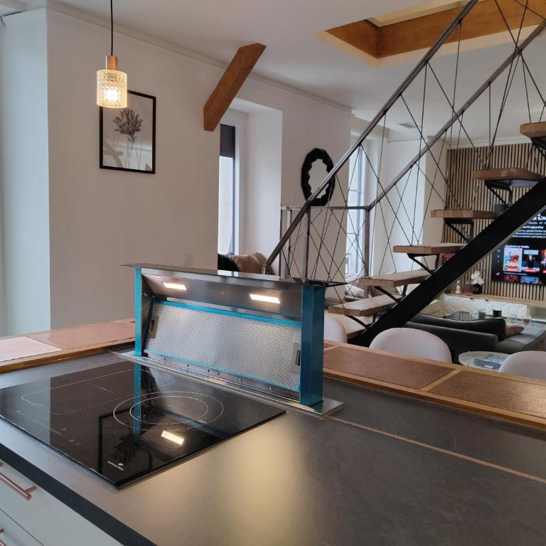 Magnifique Duplex de 135 m2 pour vos séjours jusqu'à 10 à Lourdes - Appartement - 37