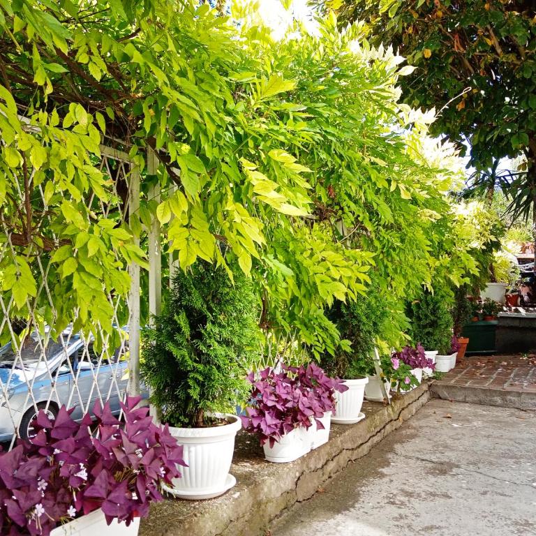 Belgrade Apartment Happy Garden - Apartman sa Pogledom na Vrt - 25