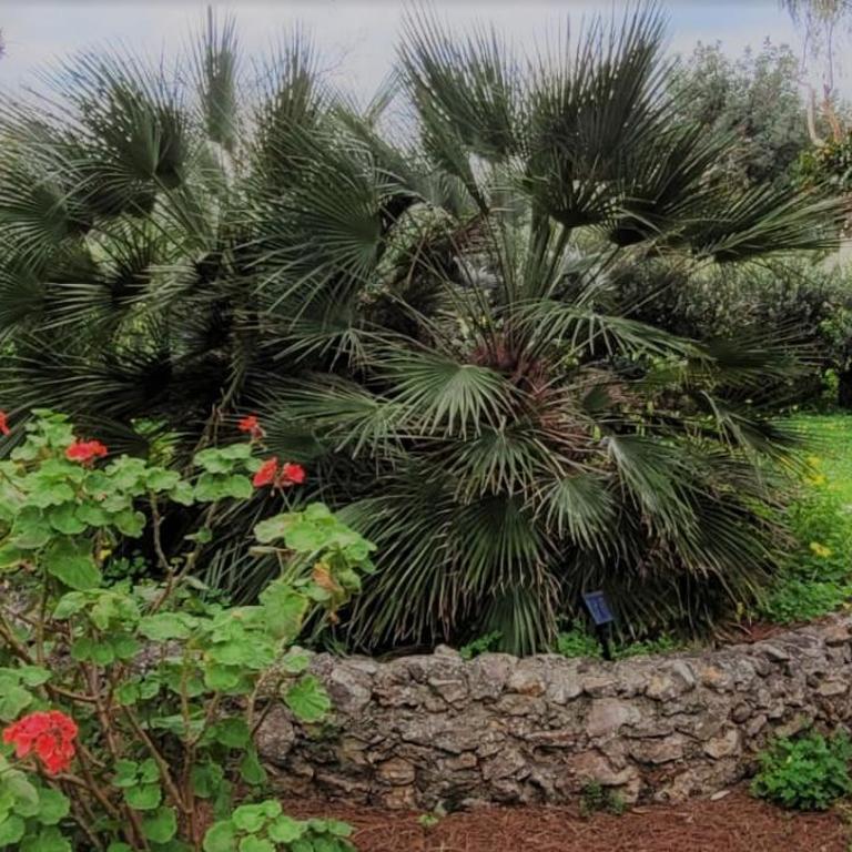 Villa Costanza - Three-Bedroom House - 100