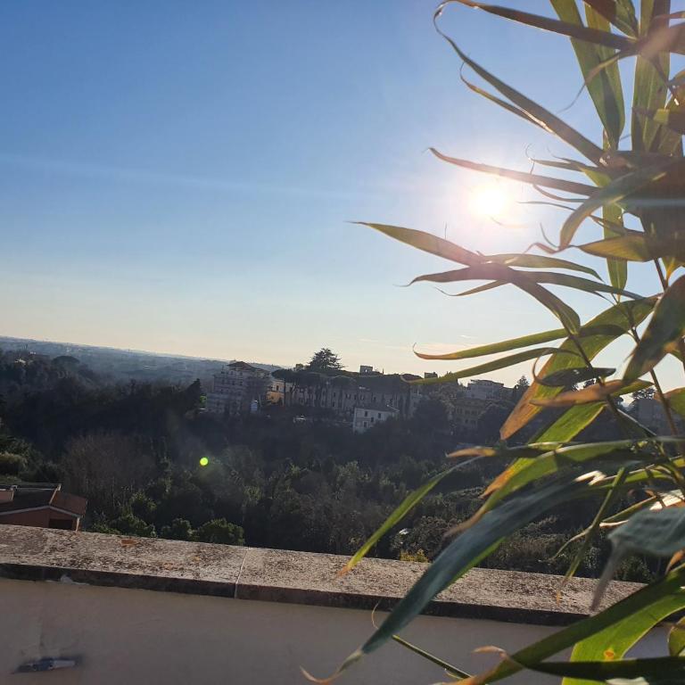 Appartamento "La Terrazza di Giacinta" - Penthouse - 32