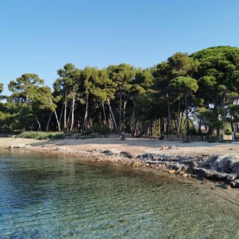Appartement de 50 m2 climatisé et moderne à 100 m de la plage - Appartement 2 Chambres - 27