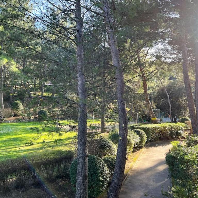 "Le Laurier du Vallon" à Sanary, Piscine, Plage, Climatisation - Apartamento con terraza - 26
