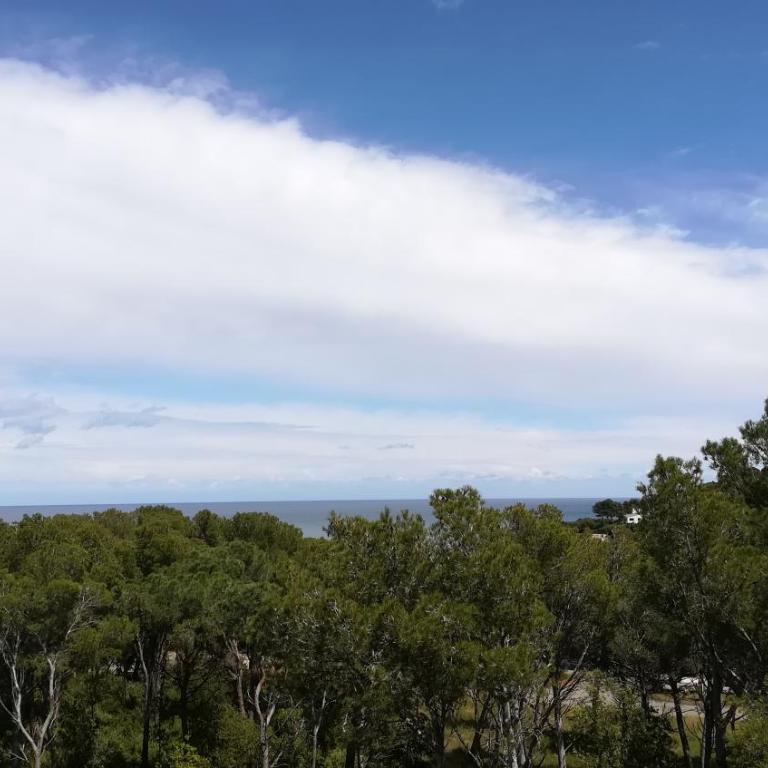 Bosmar Bosc 5-A - Apartamento con terraza - 40