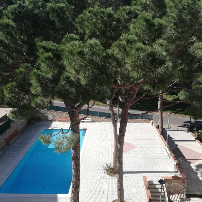 Bosmar Bosc 5-A - Apartamento con terraza - 53