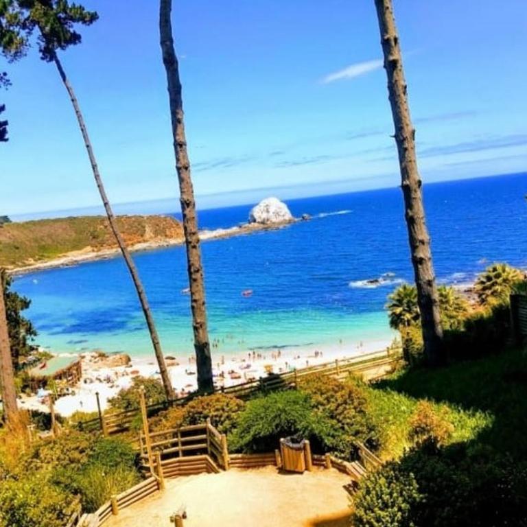 Pinares del Canelillo, Algarrobo, Chile - Apartamento con balcón - 1