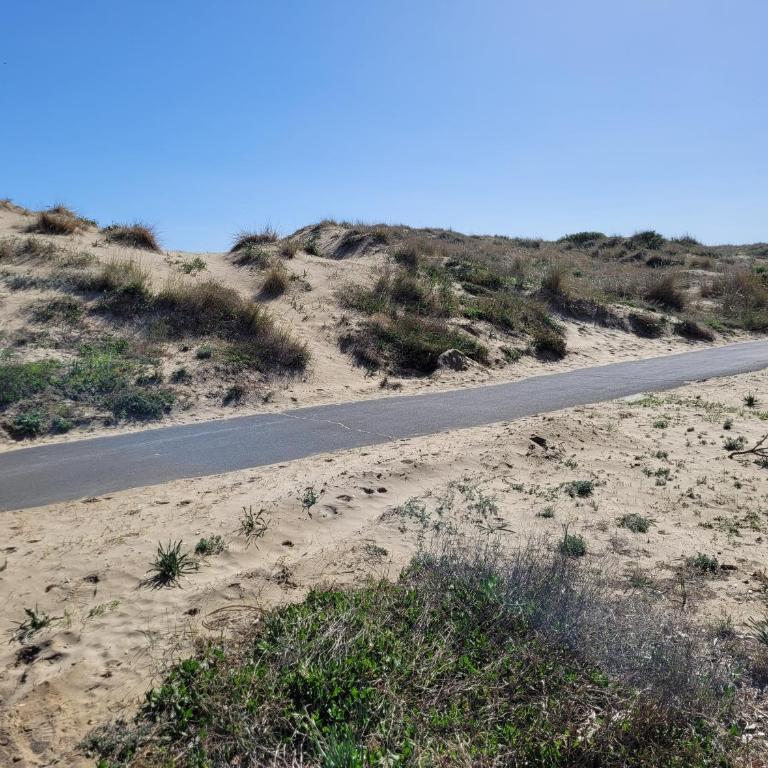 Front de mer, vue à 180° sur la méditerranée, accès direct plage - Appartement 1 Chambre - 14