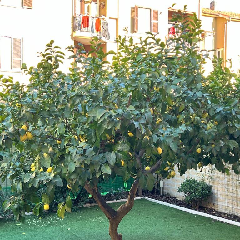 Casa Paestum. Your wonderful garden in Rome - Casa con 2 Camere da Letto - 31