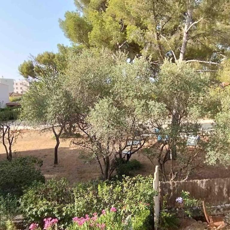 Coquet appartement avec piscine à 200m de la plage - Familienstudio - 2