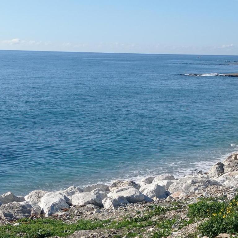 Apartamento frente al mar PAZ Y RELAX - Apartamento de 2 dormitorios - 16