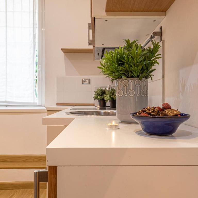 Vatican St Peter 2 bedrooms 2 bathrooms apartment - Appartamento - 11