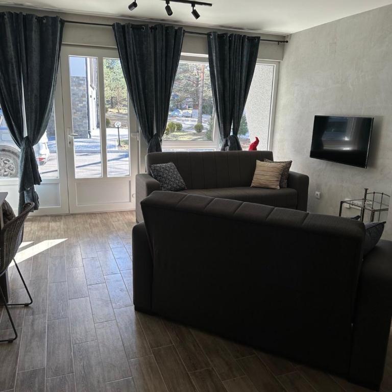 Aja apartman Family lux Divčibare - Apartman sa 1 Spavaćom Sobom - 9