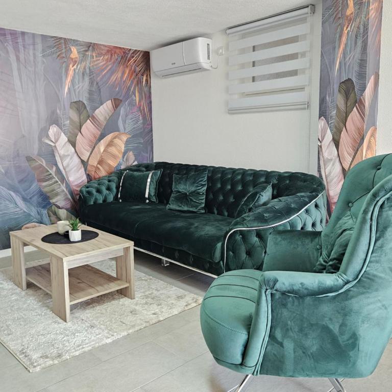 Apartmani Neda Kragujevac - One-Bedroom Apartment - 1