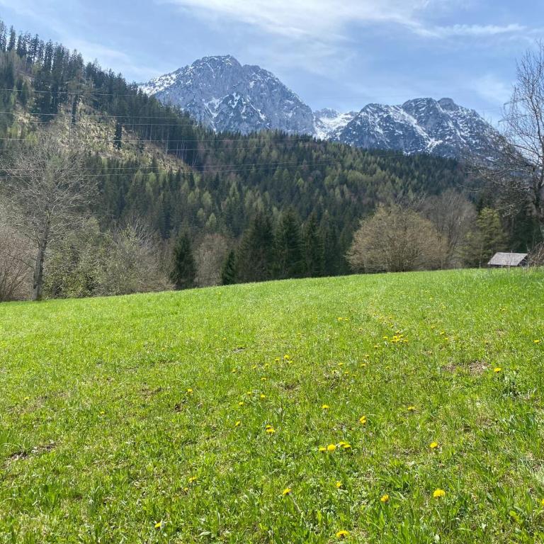 Alex´s Ferienwohnung - Apartment mit 1 Schlafzimmer - 27