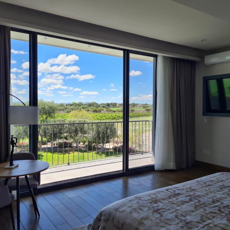Viña del Cielo - Suite Deluxe - 6