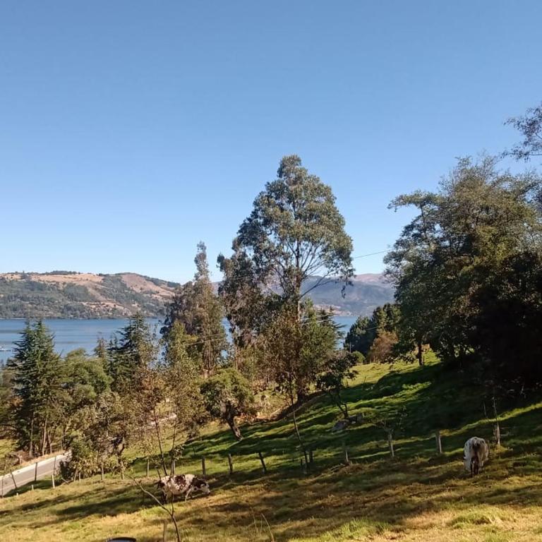 Finca Refugio Guanumen - Habitación Cuádruple con vistas al lago - 12