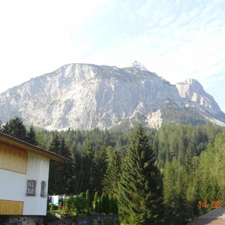 Alpen-Chalet Ehrwald - Appartamento - 85
