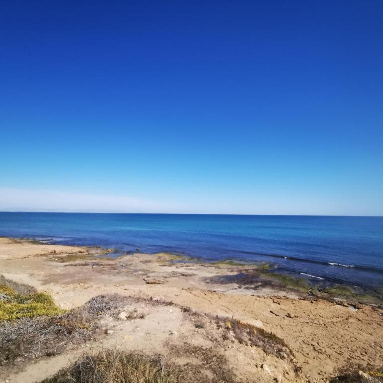See view, relaxed - Three-Bedroom House - 20