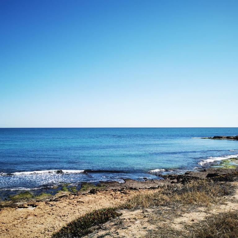 See view, relaxed - Three-Bedroom House - 21