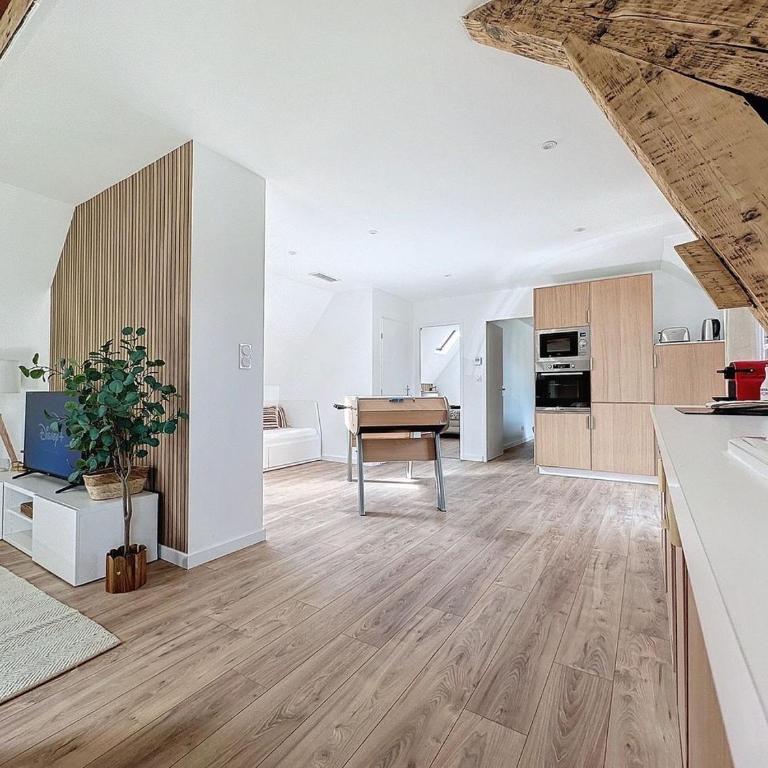 [PARENTHESE] Le Pic du Midi - 110m² - Appartement 2 Chambres - 13