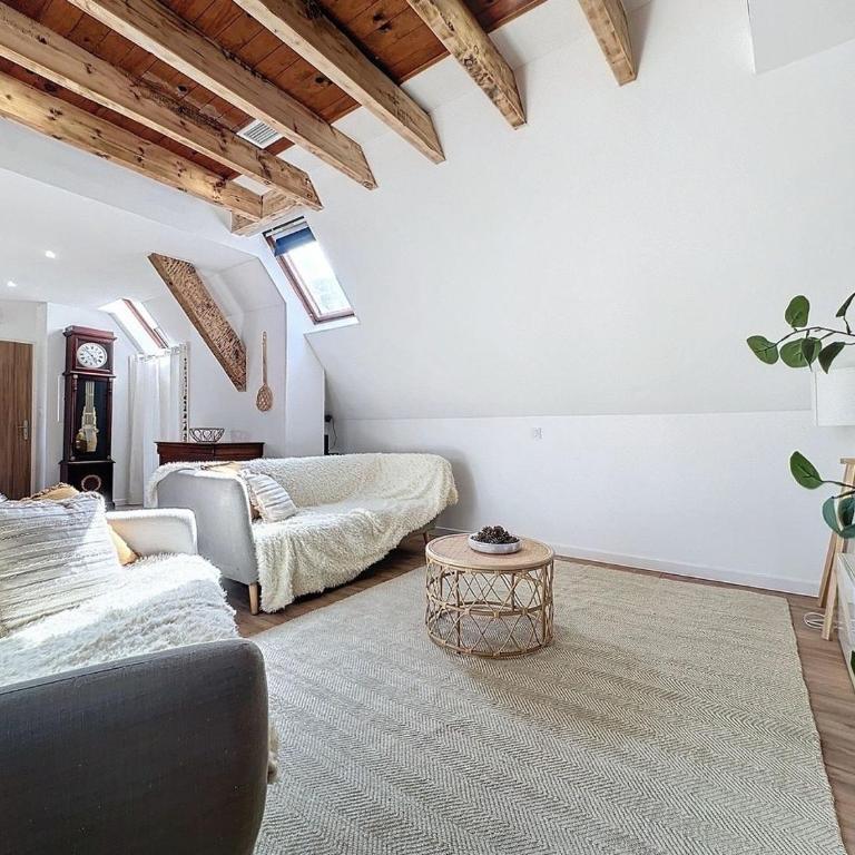 [PARENTHESE] Le Pic du Midi - 110m² - Appartement 2 Chambres - 41