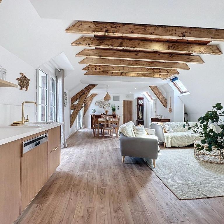 [PARENTHESE] Le Pic du Midi - 110m² - Appartement 2 Chambres - 39