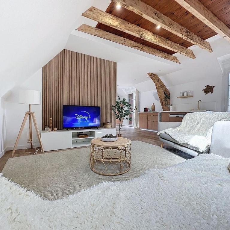 [PARENTHESE] Le Pic du Midi - 110m² - Appartement 2 Chambres - 40