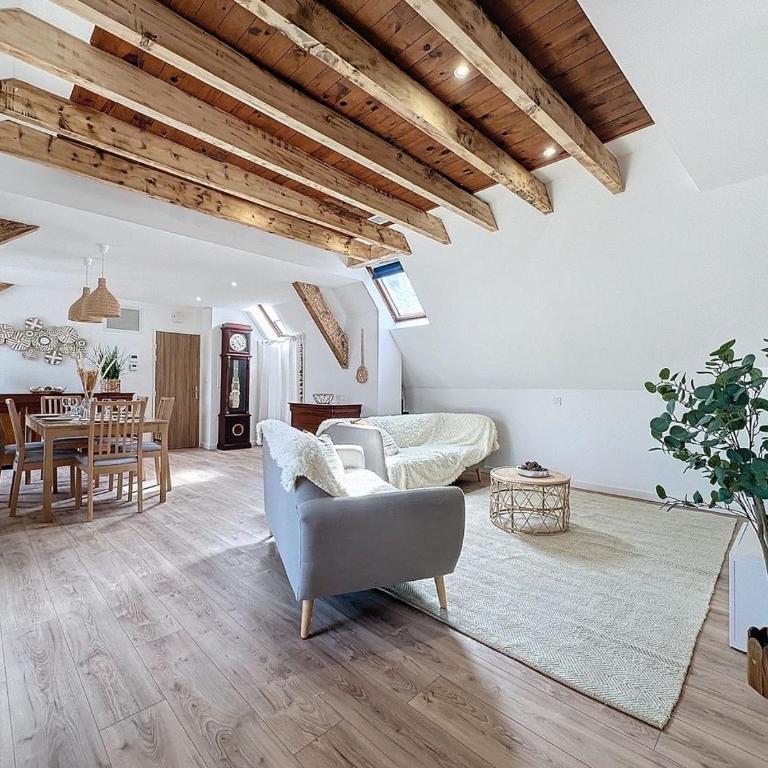 [PARENTHESE] Le Pic du Midi - 110m² - Appartement 2 Chambres - 38