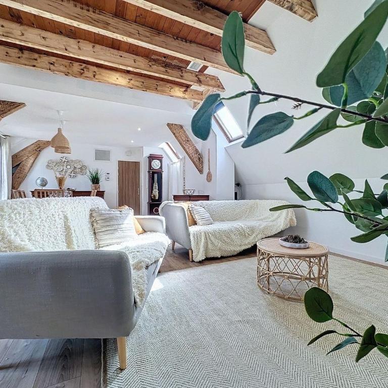 [PARENTHESE] Le Pic du Midi - 110m² - Appartement 2 Chambres - 43