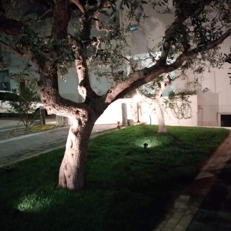 I Cinque Ulivi - Appartamento con 1 Camera da Letto - 4