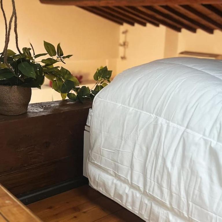 Romantic Apartment in Florence - One-Bedroom Apartment - 11
