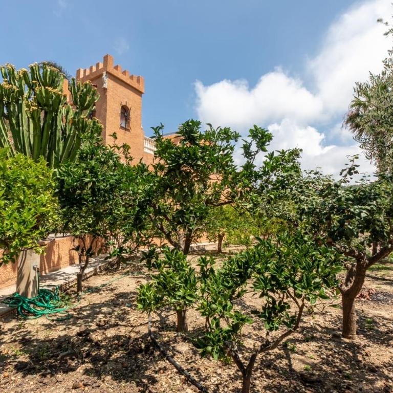 Villa rural en Málaga con piscina y vistas al mar - Villa - 35