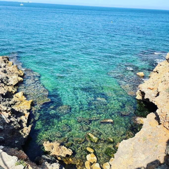 Apartamento en Las Marinas-Denia planta baja - Apartamento de 2 dormitorios - 15
