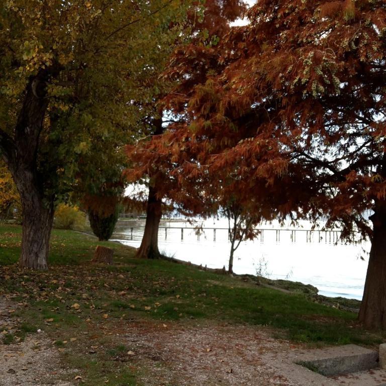 Casa Meda Rosa - Studio Apartment with One Double Bed - 26
