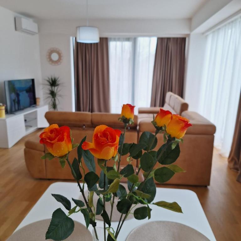 Apartment Teodo magico - Two-Bedroom Apartment - 2