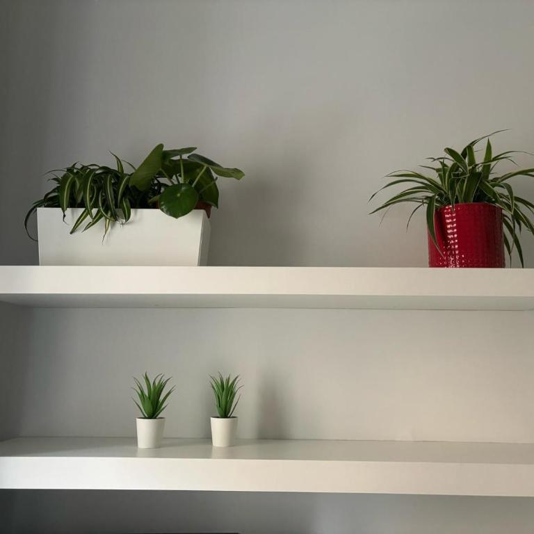Casa Vasari - Apartment - 27