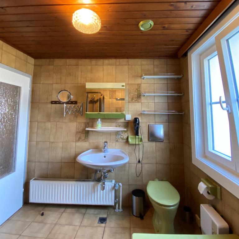 Haus Feldseeblick - Apartment with Sea View - ground floor - 10
