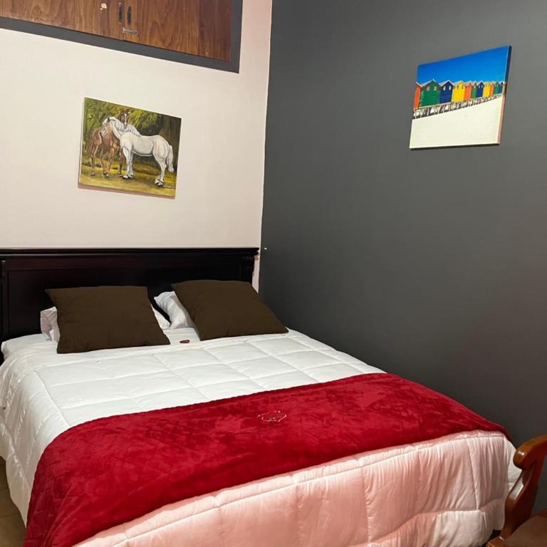 St. Gallen Haus - Habitación Doble Estándar con baño privado - 13