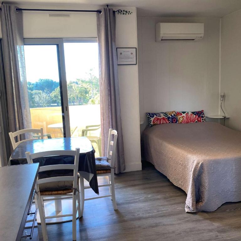 Studio lumineux avec balcon, wifi, clim, proximité parc - FR-1-553-227 - Estudio - 1
