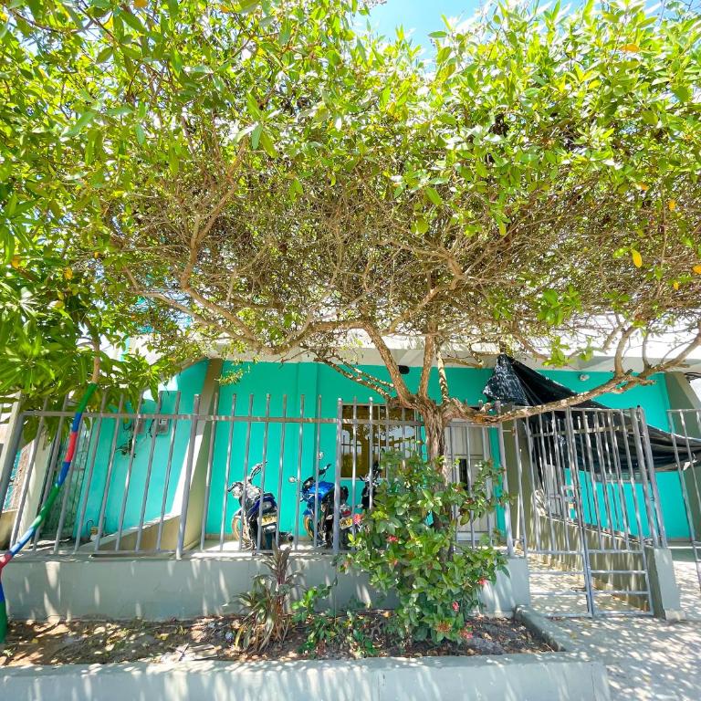 Apartamento Doña Flor - Apartamento de 3 dormitorios - 13