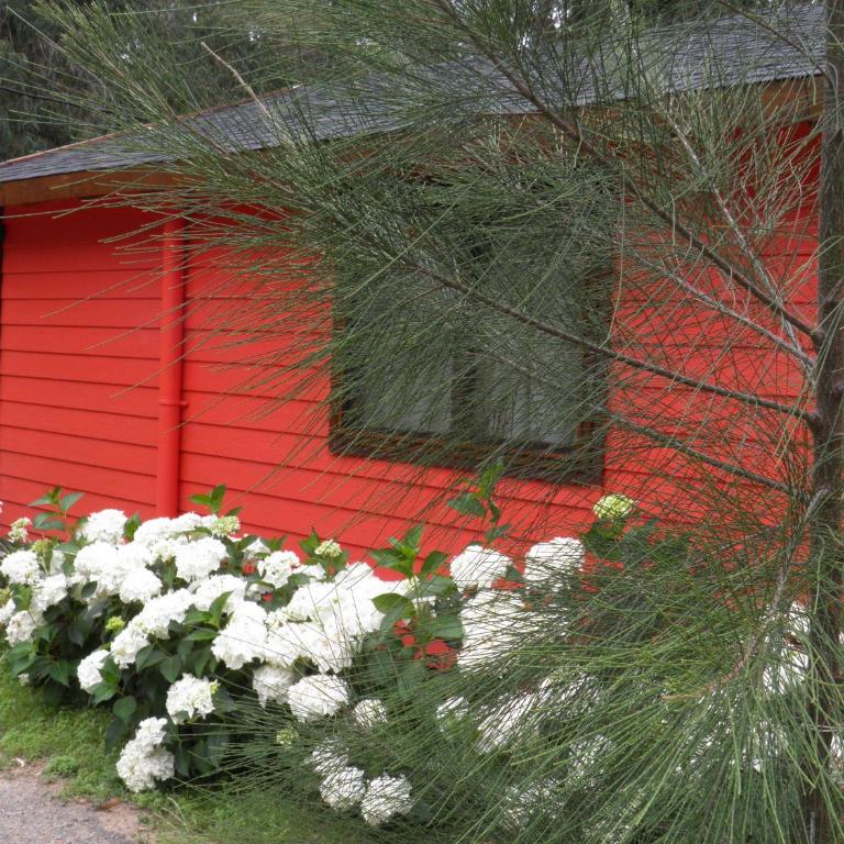 Cabañas Del Potrero - Villa de 1 dormitorio - 21