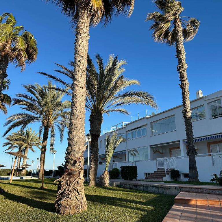 Cabo Roig El velero - Apartamento de 1 dormitorio - 29