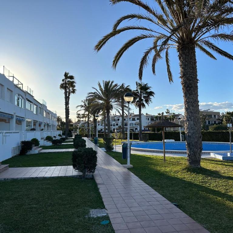 Cabo Roig El velero - Apartamento de 1 dormitorio - 31