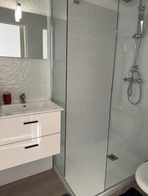 Appartement les pieds dans l’eau ! - Appartement 1 Chambre - 7
