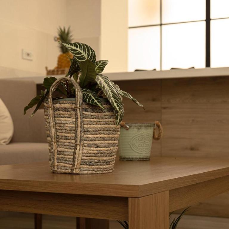 Loma Rent Home Guatape - Apartamento de 1 dormitorio - 8