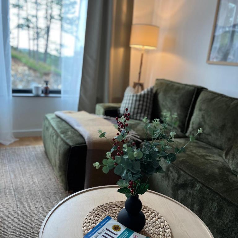 Apartman Zir - Apartman sa 3 Spavaće Sobe - 2
